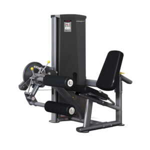 Сгибание/разгибание ног сидя DA025